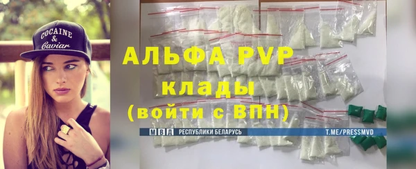 амф Дмитров