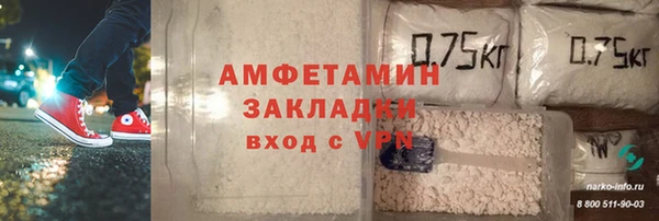 амф Дмитров