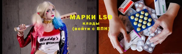 амф Дмитров