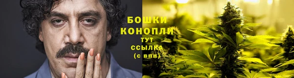 амф Дмитров