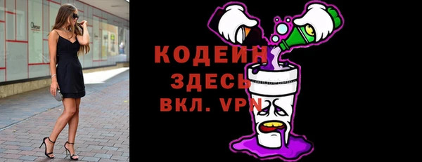 крисы Ельня