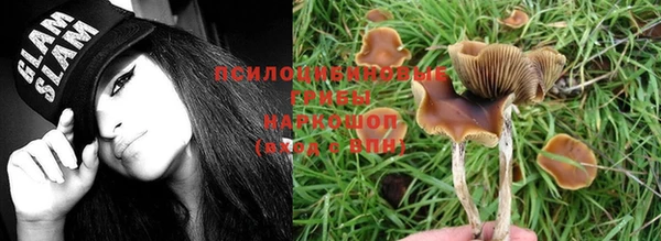 марихуана Дмитровск