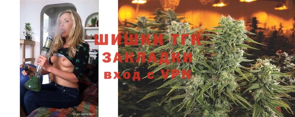 амф Дмитров