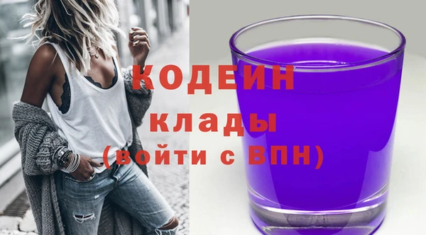 2c-b Дмитриев