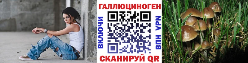 Псилоцибиновые грибы прущие грибы  Купить закладки  Ишимбай 